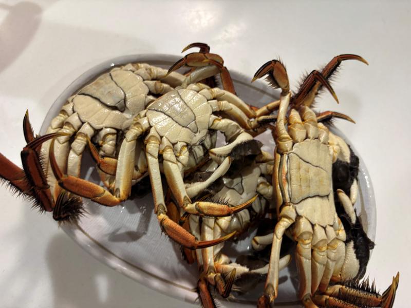 モズクガニ頂きました。